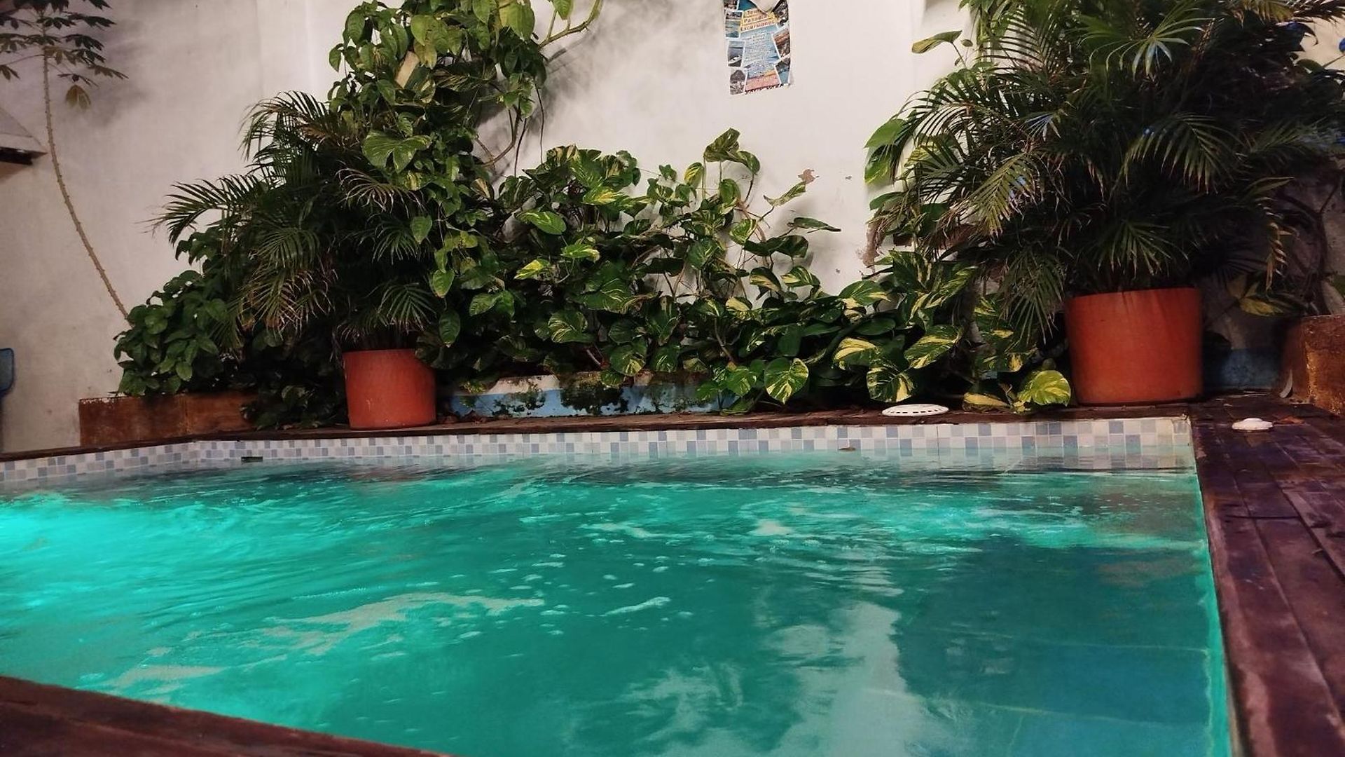 Pensión Hb5 Family With Private Bathroom Facing The Sea 4*